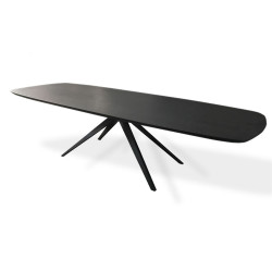 Deens ovaal zwart eiken fineer eettafel met taps lopende metalen spinpoot